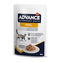 PATE ADVANCE GATO RENAL